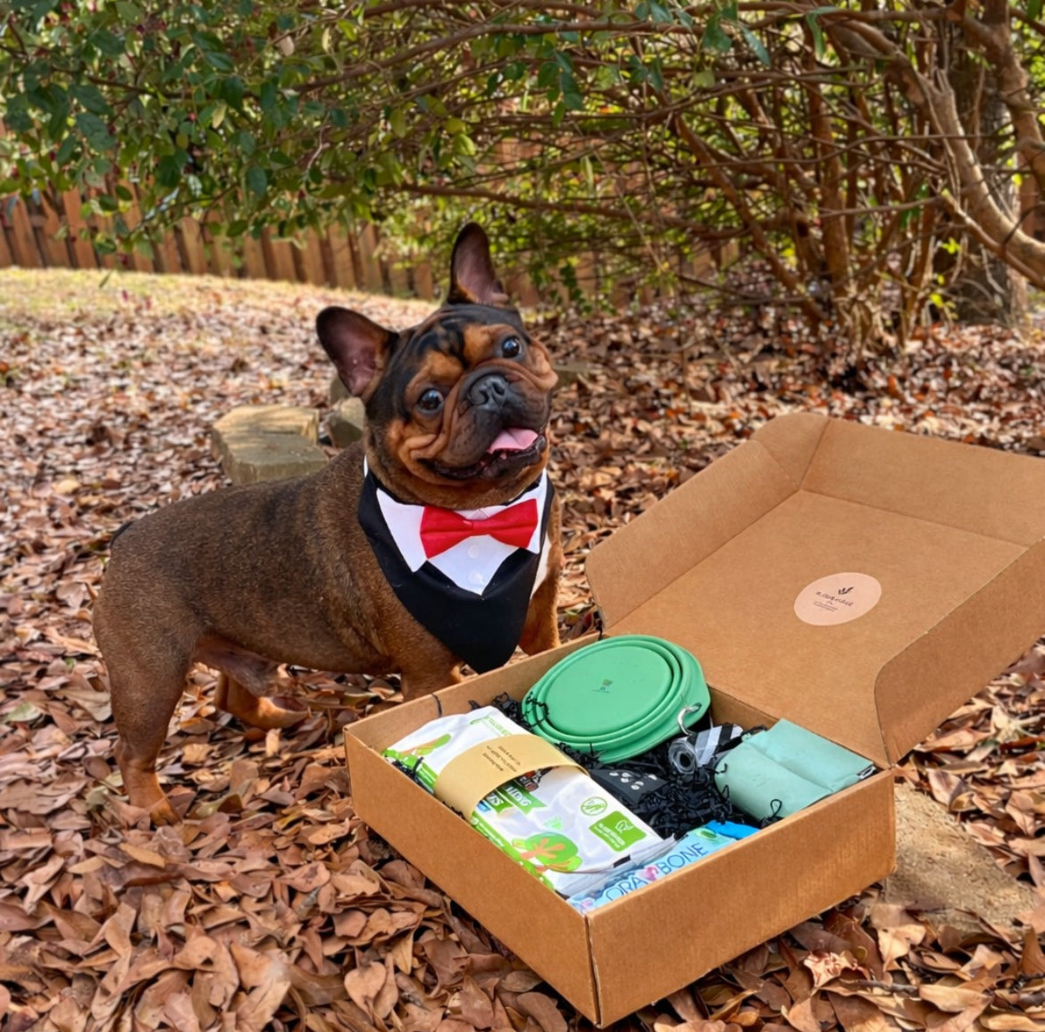 Go Lightly: Pup Edition - Gift Set for Dogs