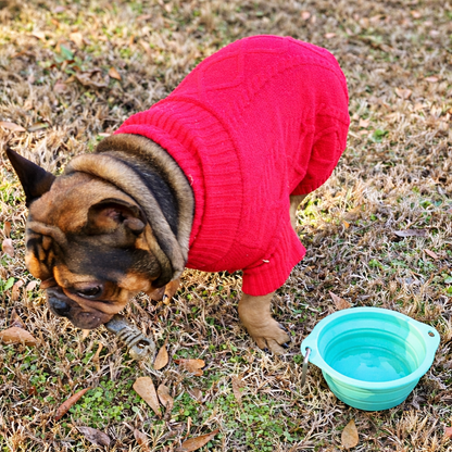 Go Lightly: Pup Edition - Gift Set for Dogs