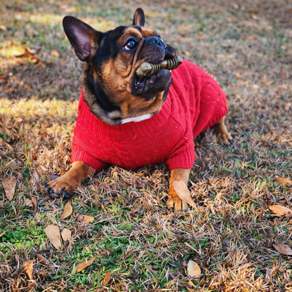 Go Lightly: Pup Edition - Gift Set for Dogs
